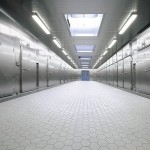 Hersteller von industriellen Räucher- und Reifeanlagen