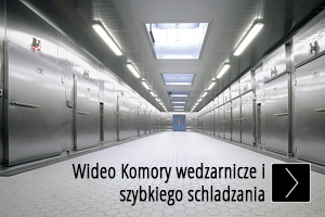 Video_Rauch